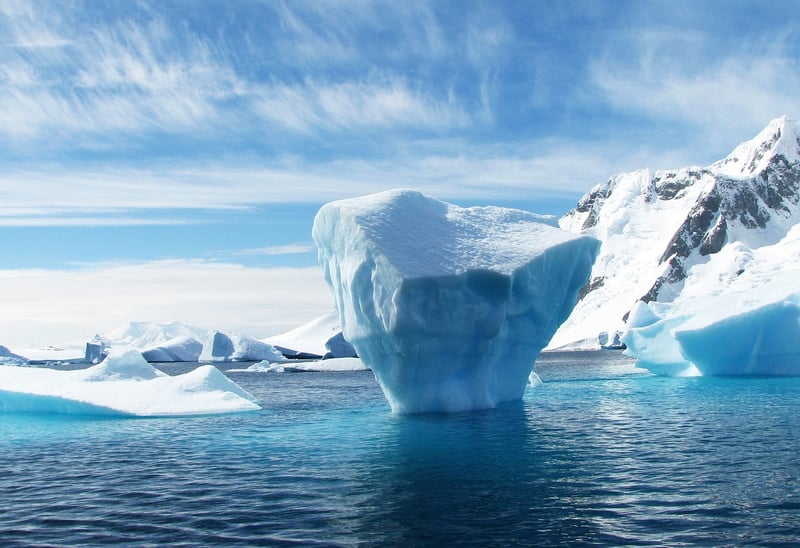 Polar Promise